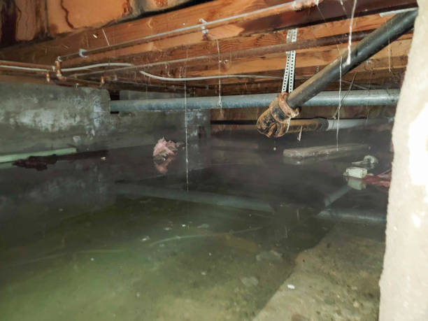 Best Water damage restoration near me  in Upper Brookville, NY