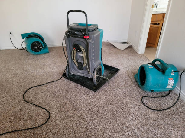 Best Water damage restoration services  in Upper Brookville, NY