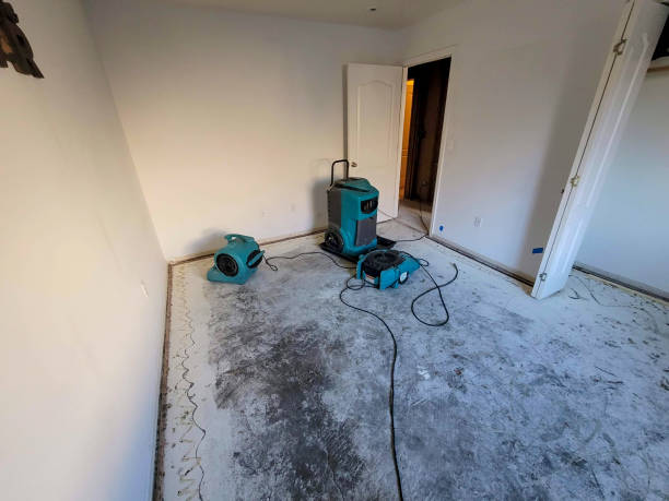 Best Basement water damage restoration  in Upper Brookville, NY