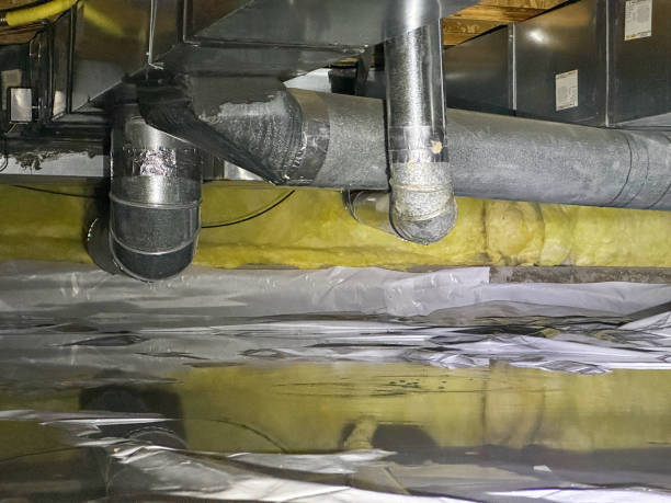 Best Water damage cleanup near me  in Upper Brookville, NY