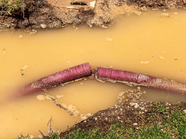 Best Water damage cleanup near me  in Upper Brookville, NY